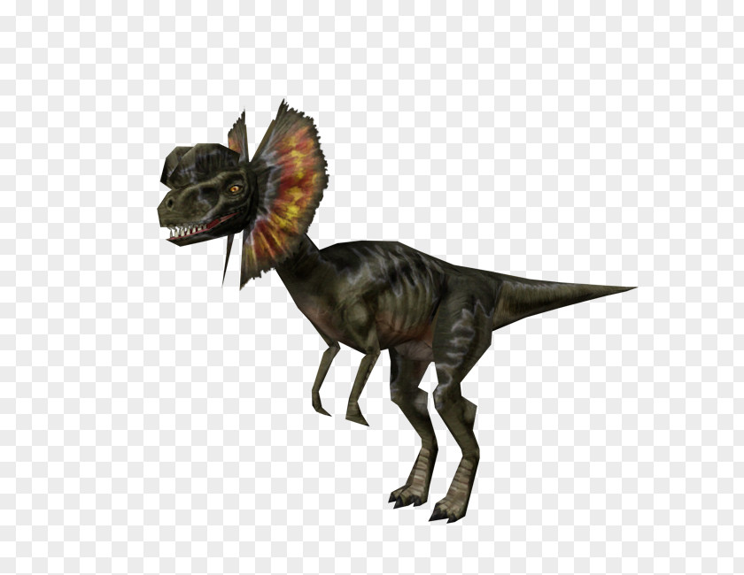 Dinosaur Velociraptor Tyrannosaurus Ceratosaurus Pachycephalosaurus Triceratops PNG