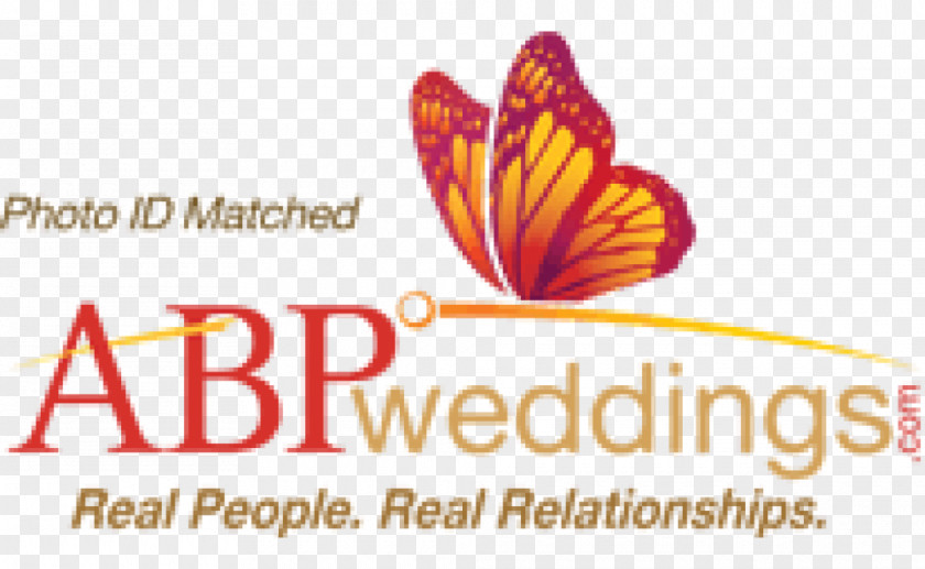 Wedding ABP News Marriage Group Bride PNG