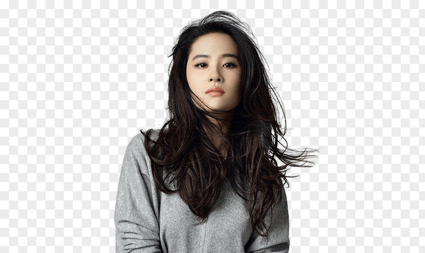 Liu Yifei The Four Actor Singer Film PNG Film, actor clipart PNG
