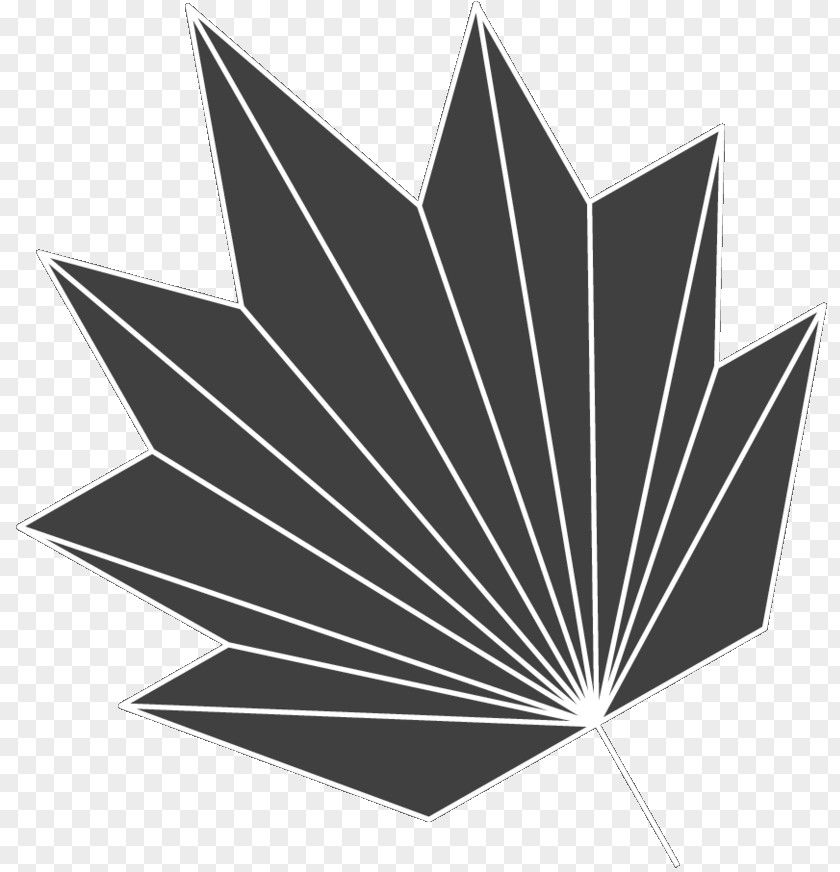 M Leaf Line Angle Tree Black & White PNG