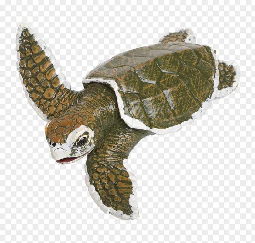 Turtle Kemp's Ridley Sea Reptile Protecting Turtles Safari Ltd PNG