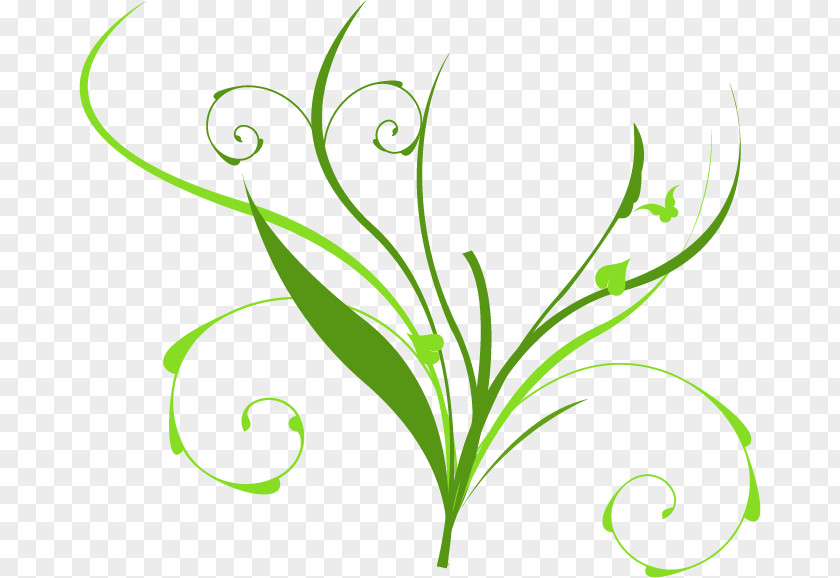 Vine Leaf Clip Art Plant Stem Flower Line PNG