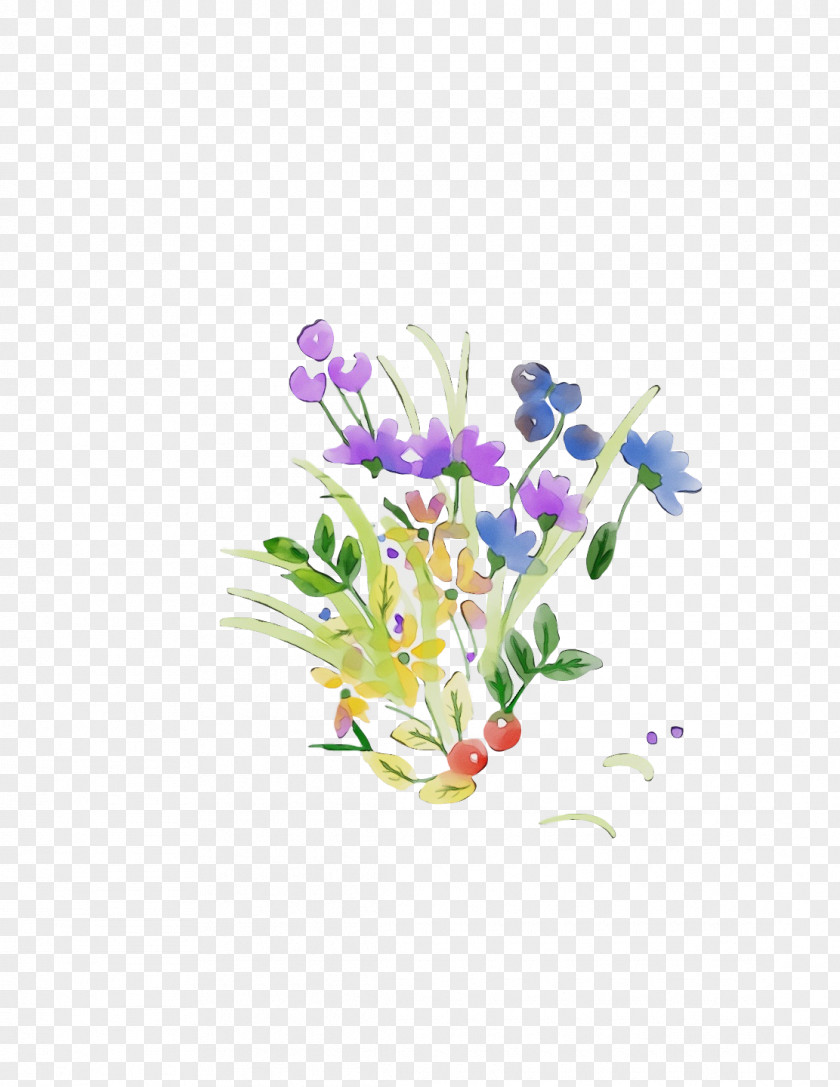 Flower Plant Violet Purple Cut Flowers PNG