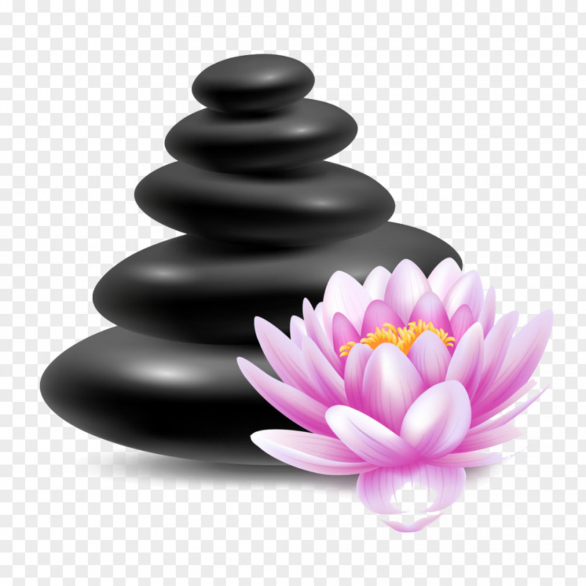 Lotus And Pebbles Mask Stock Photography Illustration Royalty-free PNG