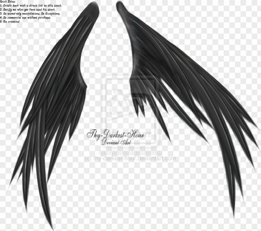 Wings Of Madness Photography Zeno Morf Clip Art PNG