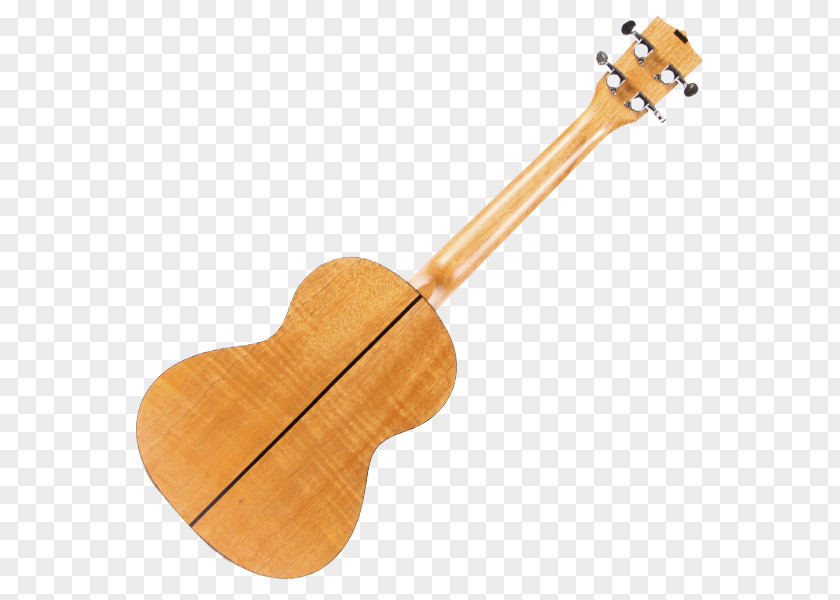 Acoustic Guitar Cuatro Ukulele Bass PNG