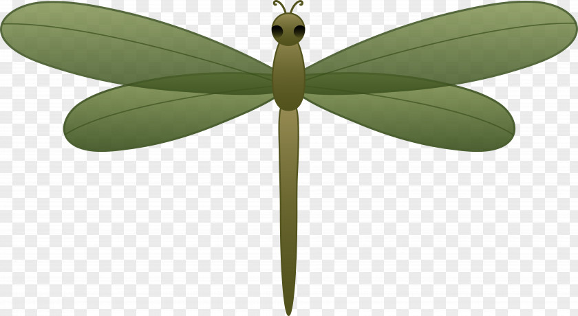Dragonfly Cliparts Clip Art PNG