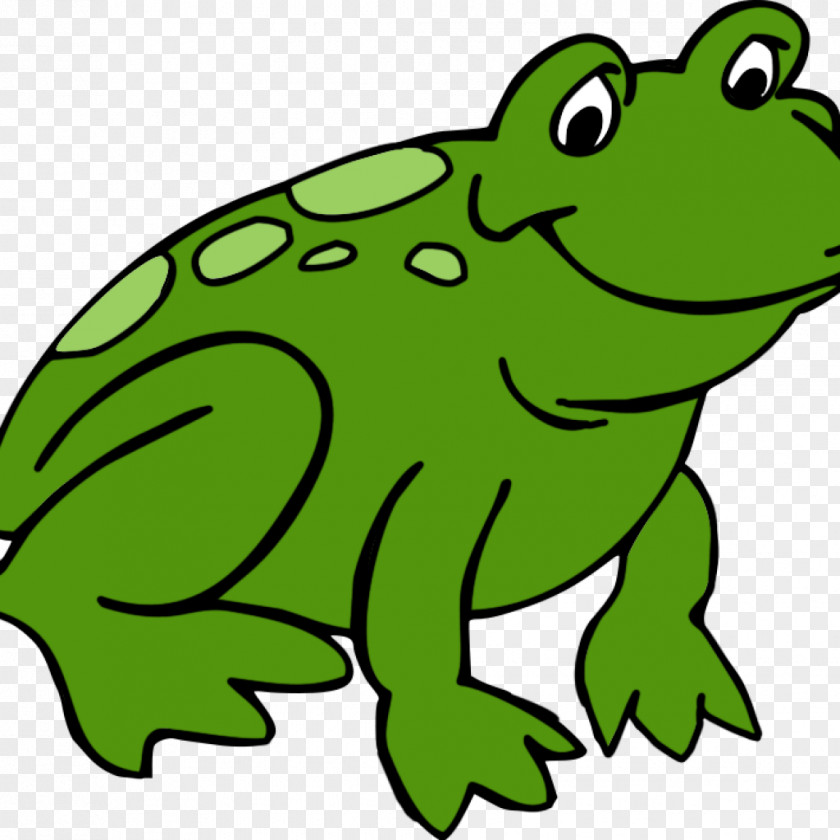 Frog Clip Art Illustration Amphibians PNG