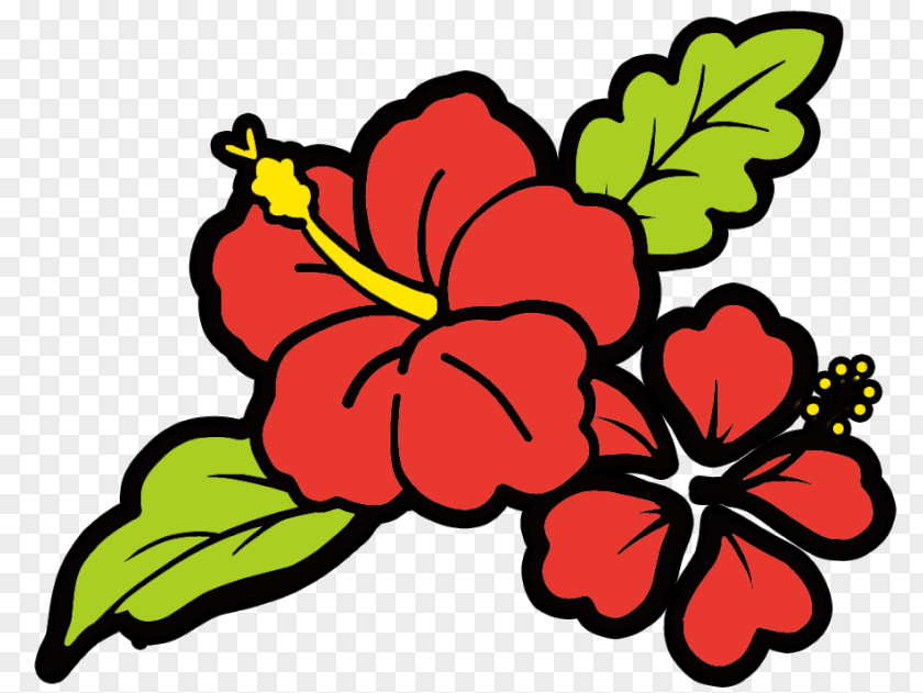 Hibiscus Floral Design Cut Flowers Rosemallows Clip Art PNG