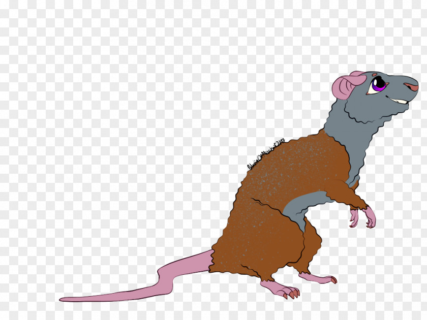 Rat & Mouse Ferret Cat Rodent PNG