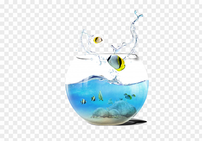 Sea Elements Aquarium Fish Computer File PNG