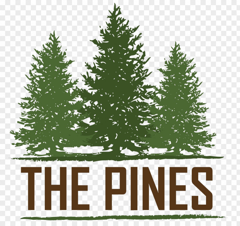 Apartment Summerset The Pines At Rapid City Home Renting PNG