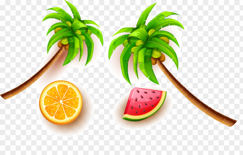 Coconut Tree Fruit Great Posters Euclidean Vector PNG