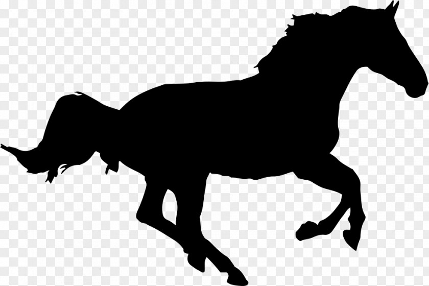 Horse Silhouette Icons Vector Graphics Clip Art Image PNG