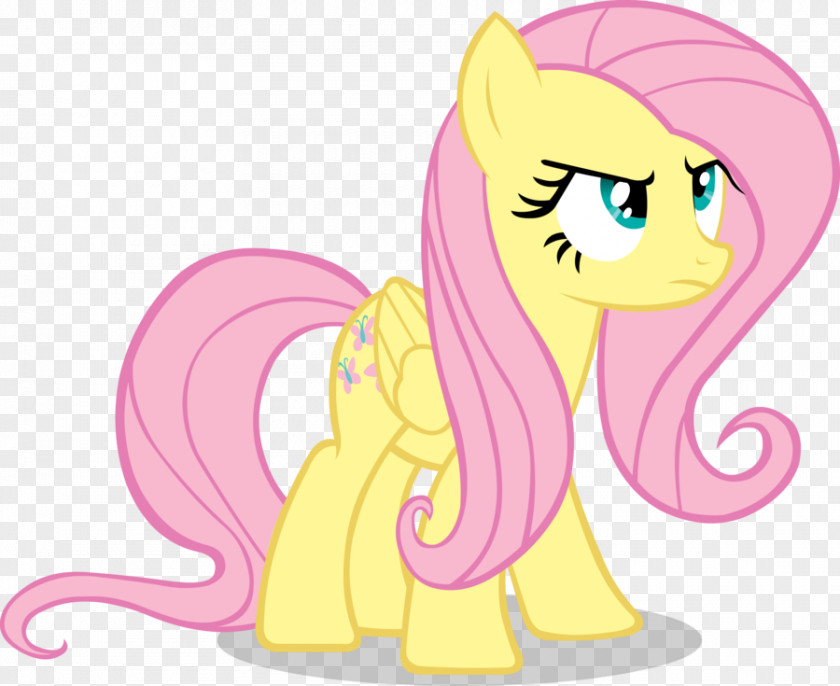 My Little Pony Fluttershy Rainbow Dash Pinkie Pie Image PNG
