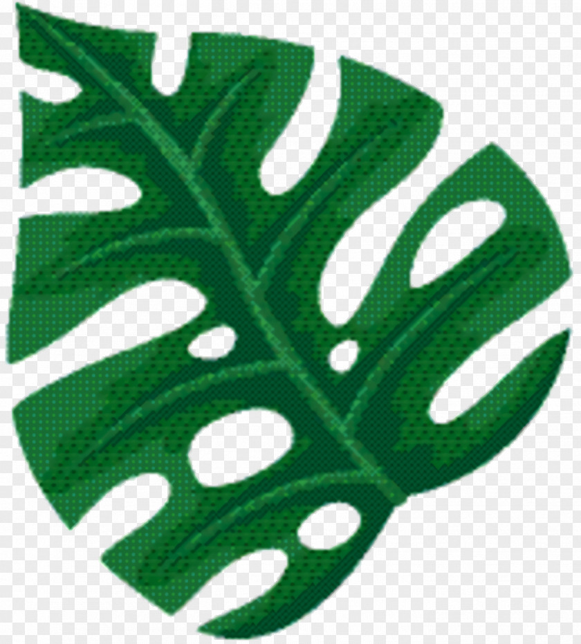 Plant Green Leaf Background PNG