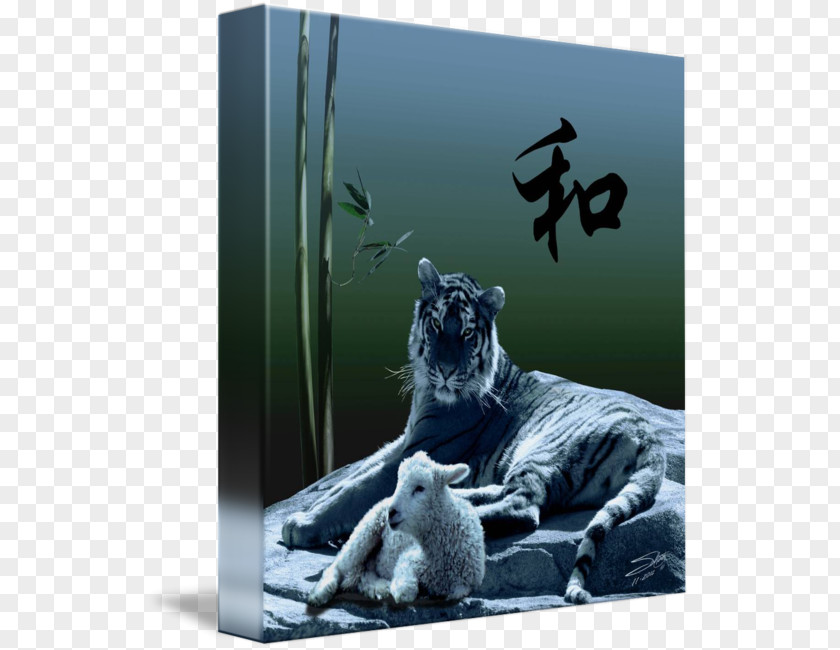 Tiger Cat Gallery Wrap Canvas Australia China Youth Association PNG