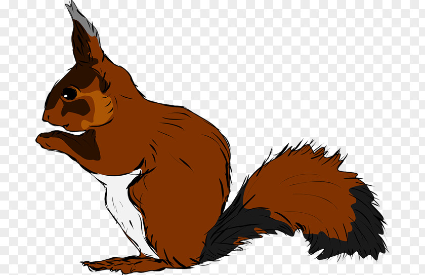 Belt Squirrel Drawing Clip Art PNG