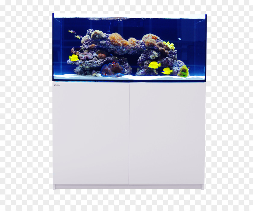 Fish Tank Reef Aquarium Aquariums Sump Lighting PNG
