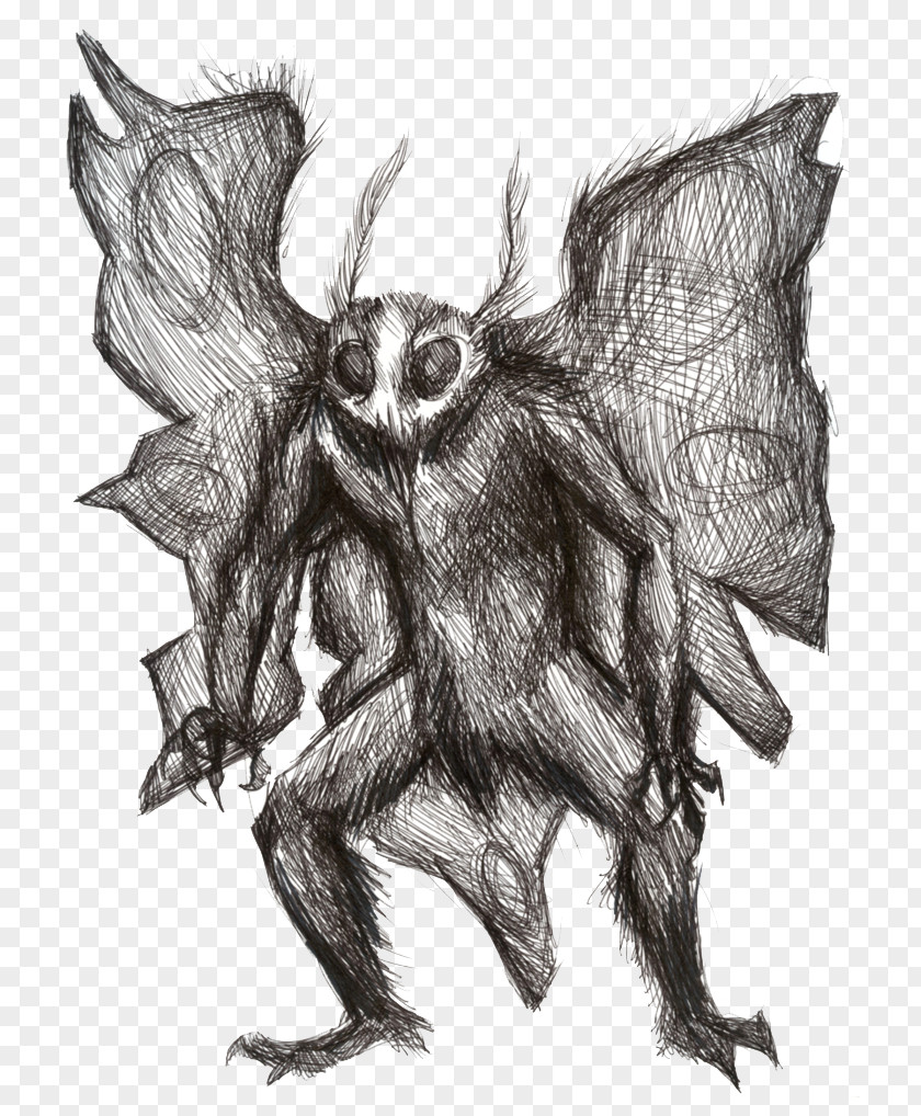 Moth Man Pic Point Pleasant Mothman Flatwoods Monster Drawing PNG