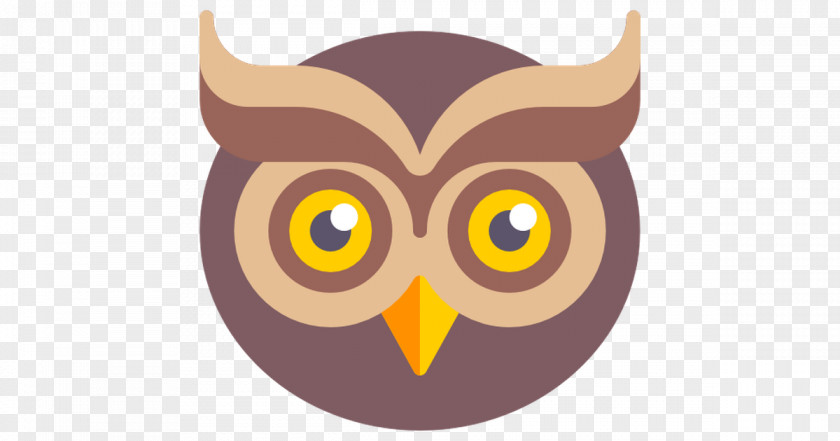 Owl Desktop Wallpaper PNG