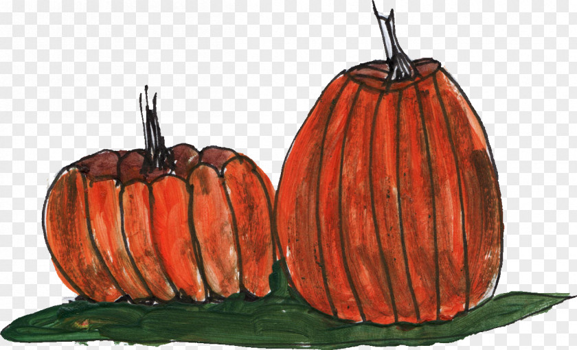Pumpkin Drawing Line Art Sketch PNG