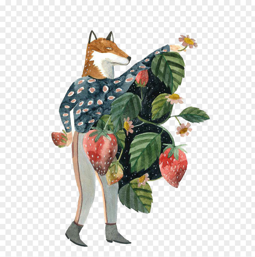 Strawberry Fox Species Aedmaasikas Illustration PNG