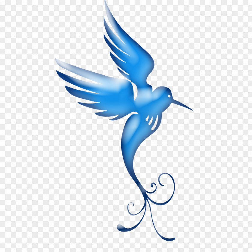 Bird Image Clip Art PNG