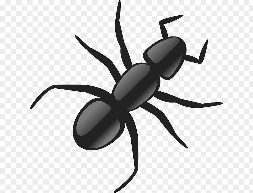Cartoon Bugs Black Garden Ant Clip Art PNG