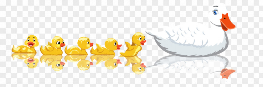 Duck Baby Ducks Clip Art PNG