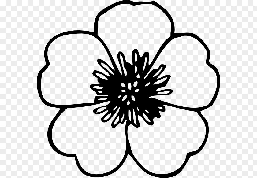 Flower Outline Coloring Clip Art Openclipart Free Content Image PNG