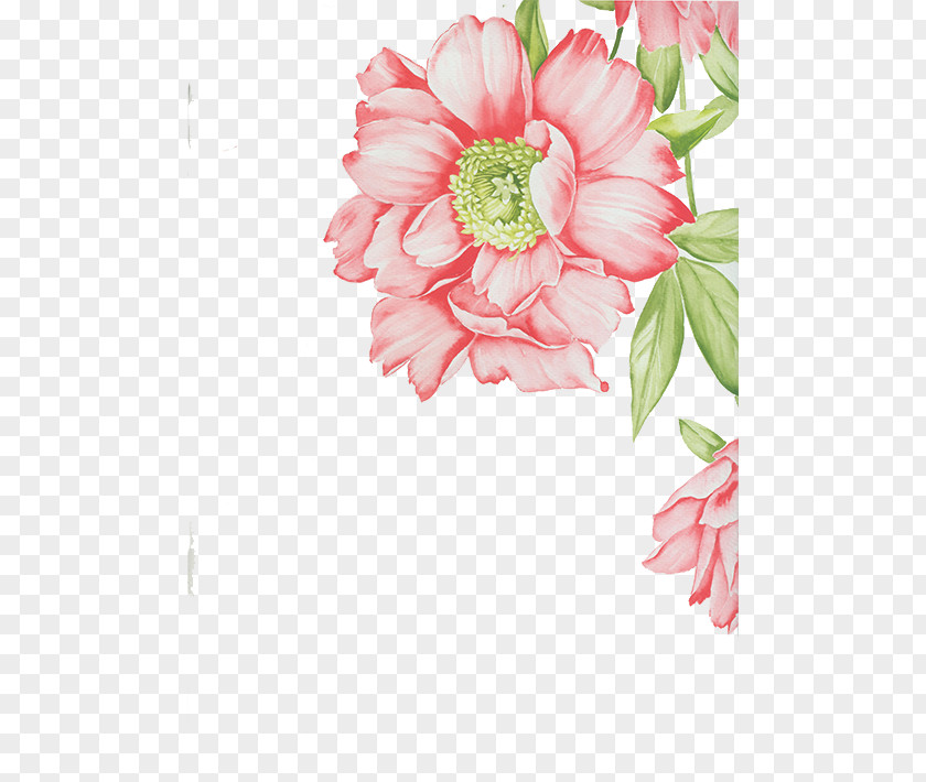 Pink Flowers Floral Design Cut Transvaal Daisy Flower Bouquet Artificial PNG