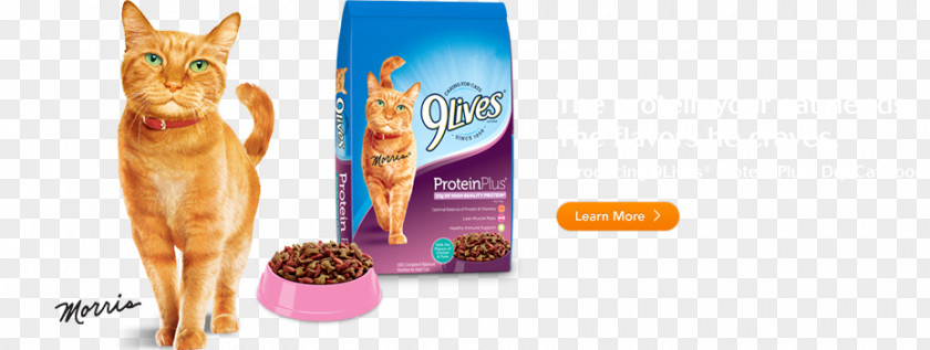 Cat Food 9Lives Pet PNG