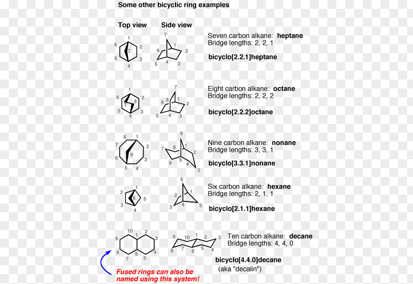 Ring Bicyclic Molecule Bridged Compounds Alkane Chemical Compound PNG