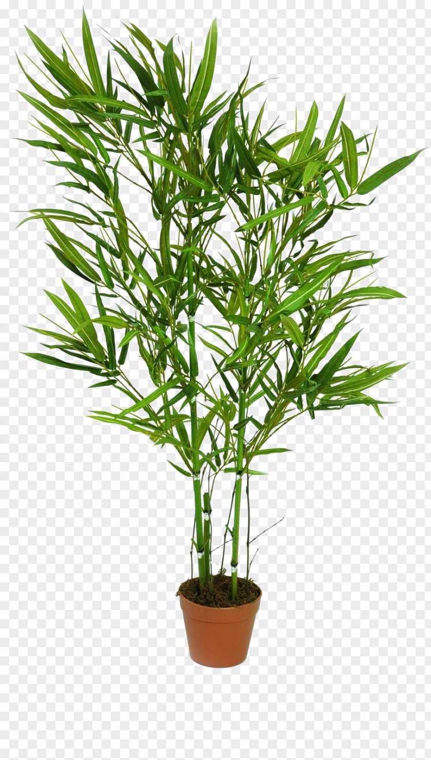 Strong Bamboo Trunk Tree Plant Artificial Flower PNG