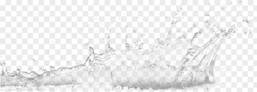 Water Wave Drawing Black And White Monochrome Photography Sketch PNG