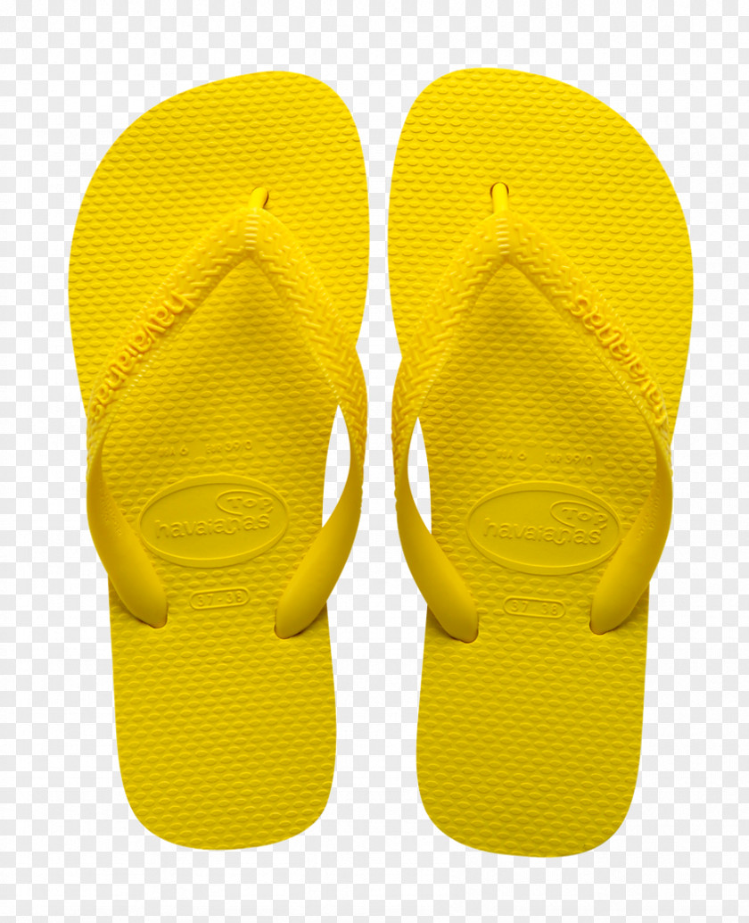 Fan Flip-flops Shoe PNG