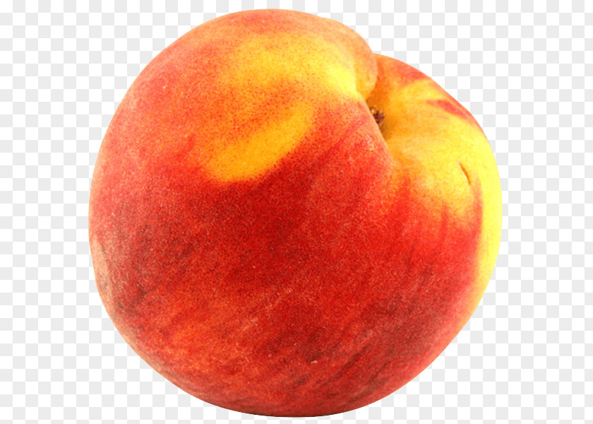 Juice Orange Peach Fruit PNG