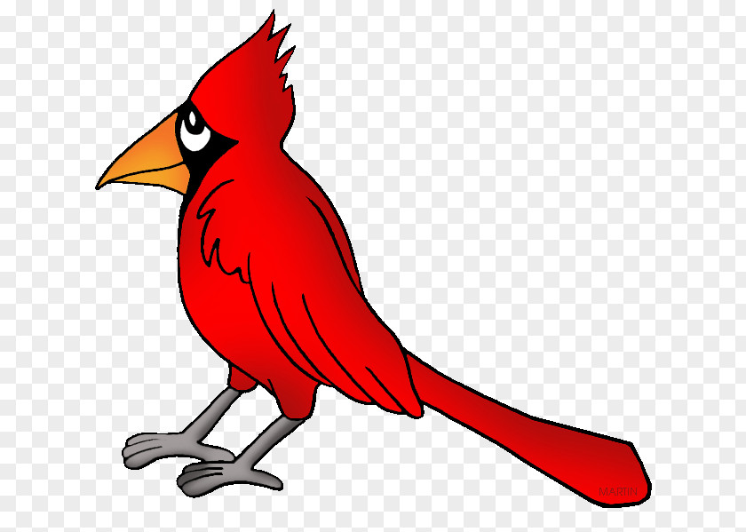 Northern Cardinal Blog Clip Art PNG