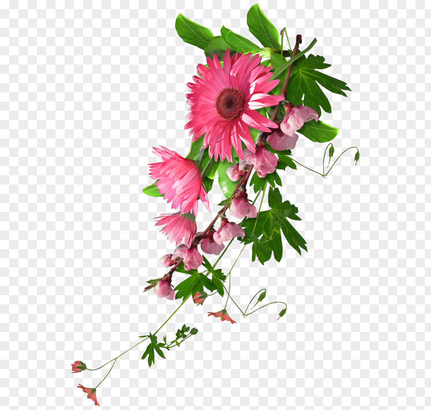 Real Flowers Blog Clip Art PNG