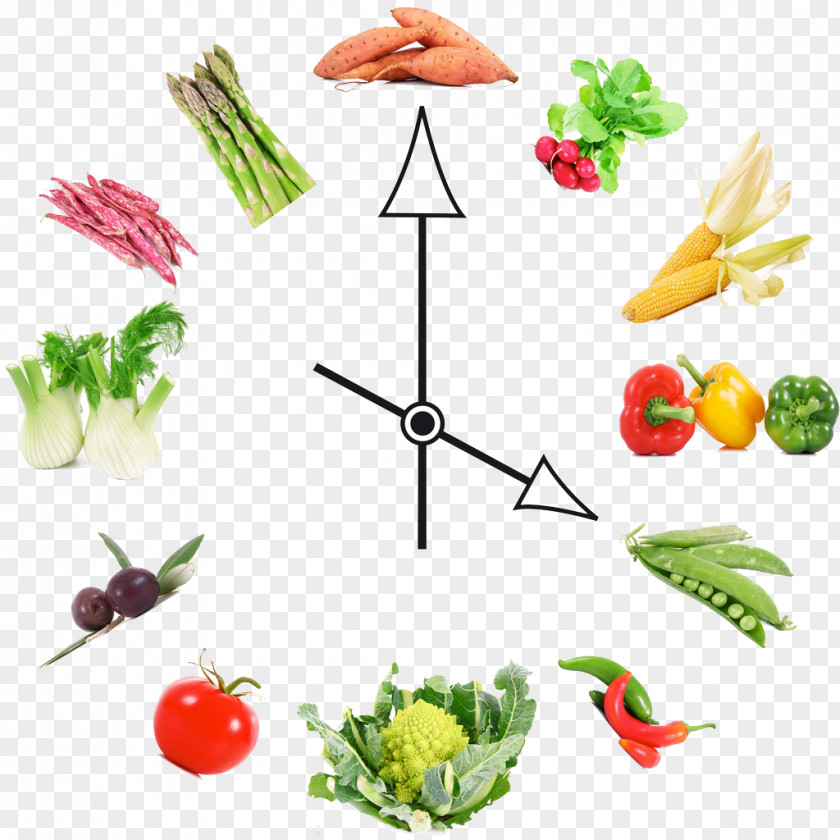 Vegetables Clock Junk Food Eating Meal Calorie PNG