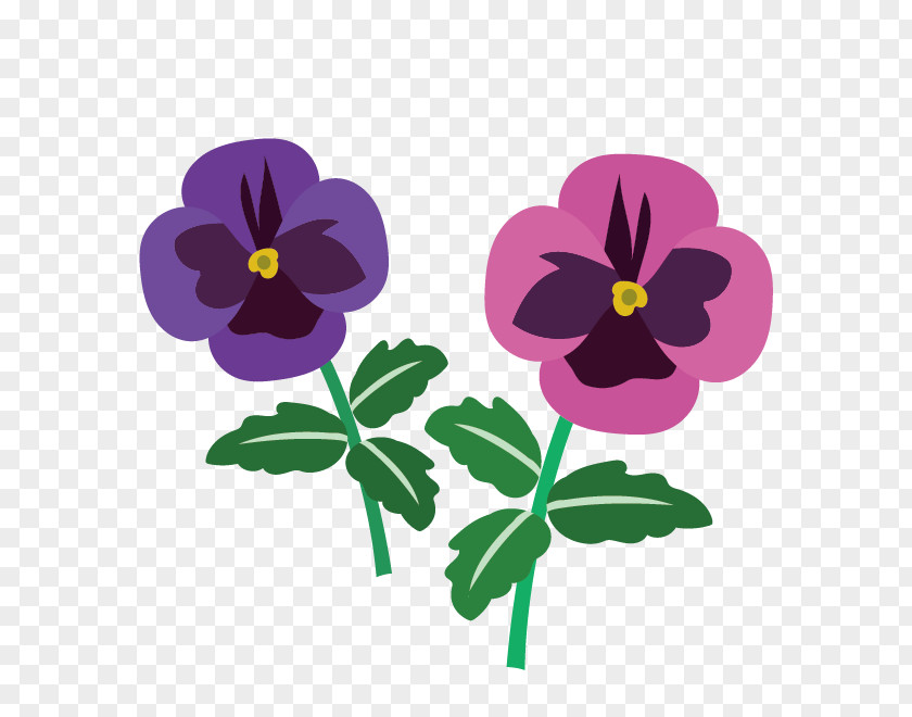 Violet Pansy Yellow Blue PNG
