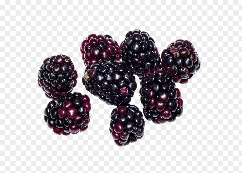 Blackberry Boysenberry Loganberry Tayberry Food PNG