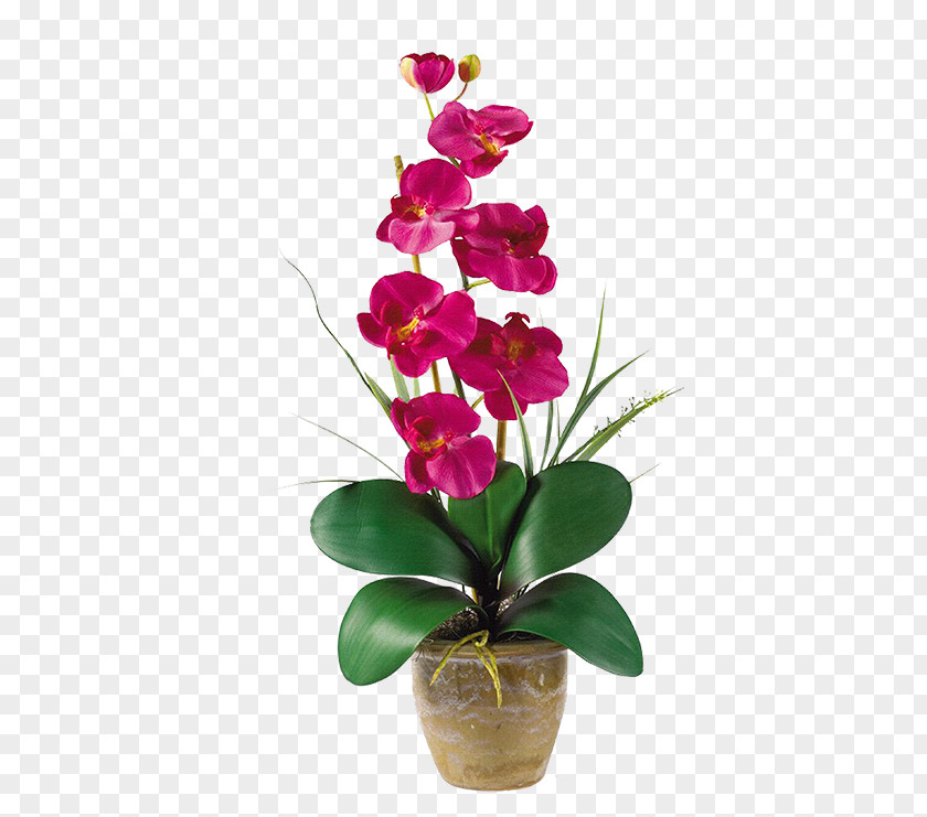 Cinematography Filigree Moth Orchids Artificial Flower Floristry Nearly Natural, Inc. PNG