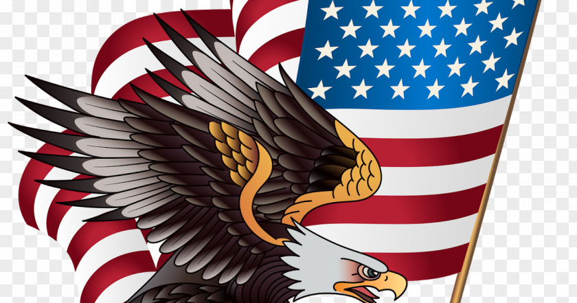 Flag United States Of America Bald Eagle Clip Art The Image PNG