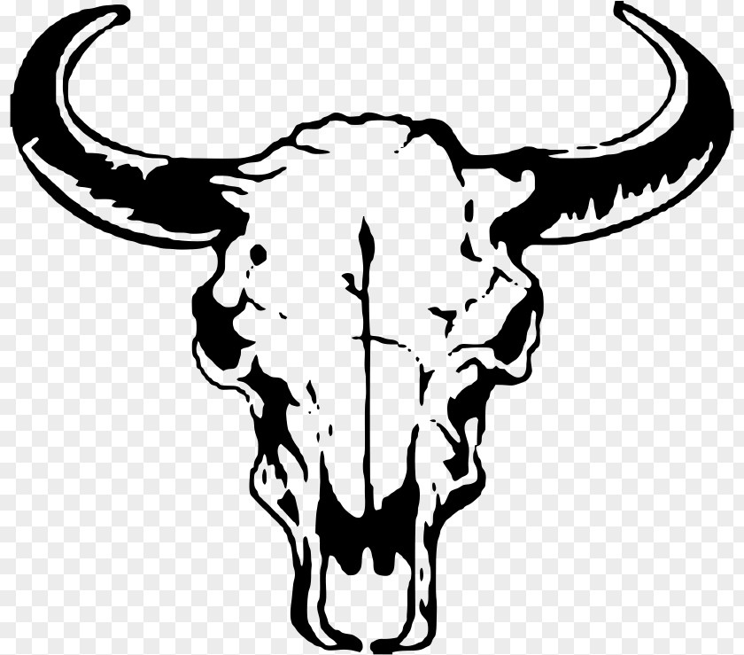 Longhorn Texas Bull Skull Clip Art PNG