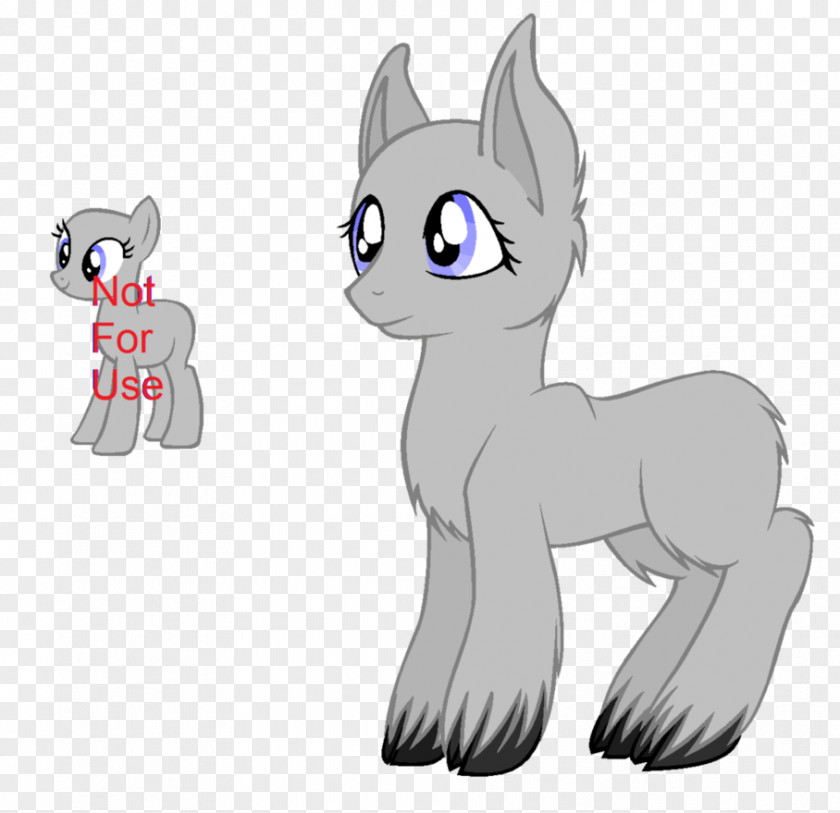 Cat My Little Pony Clydesdale Horse American Paint PNG