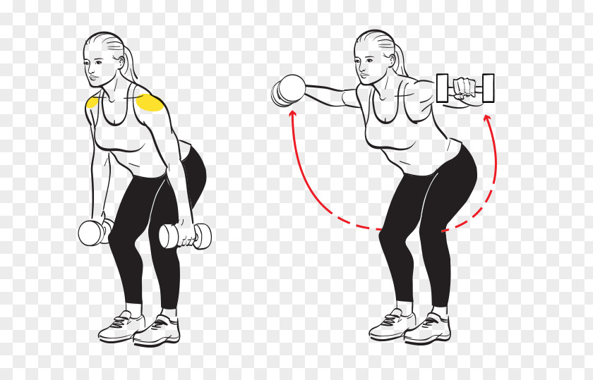 Disturbance Of Flies While Standing Shoulder Muscle Hand Dumbbell Barbell PNG