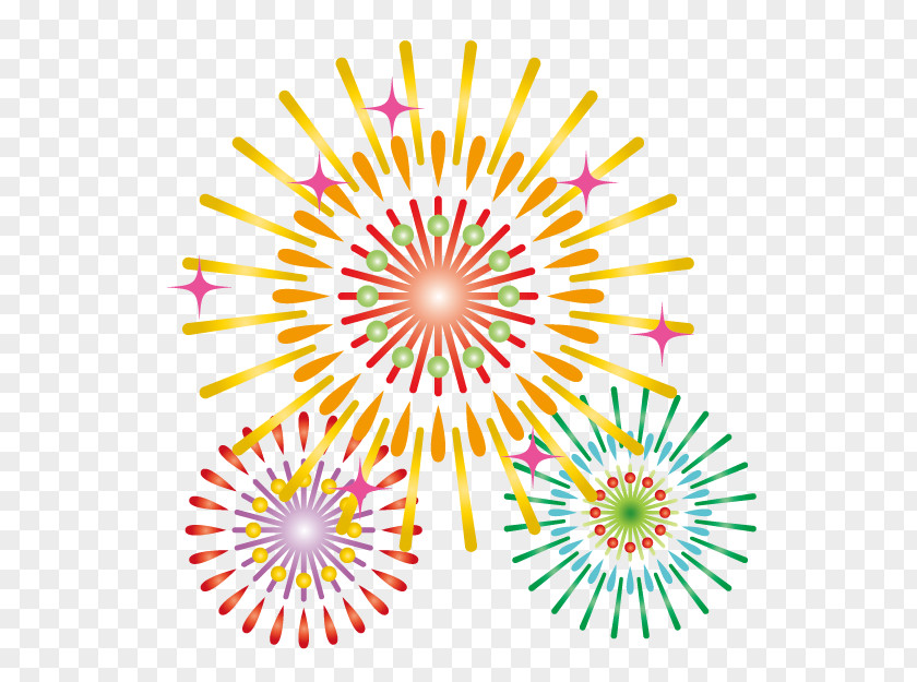 Fireworks Art Uchiage Hanabi PNG