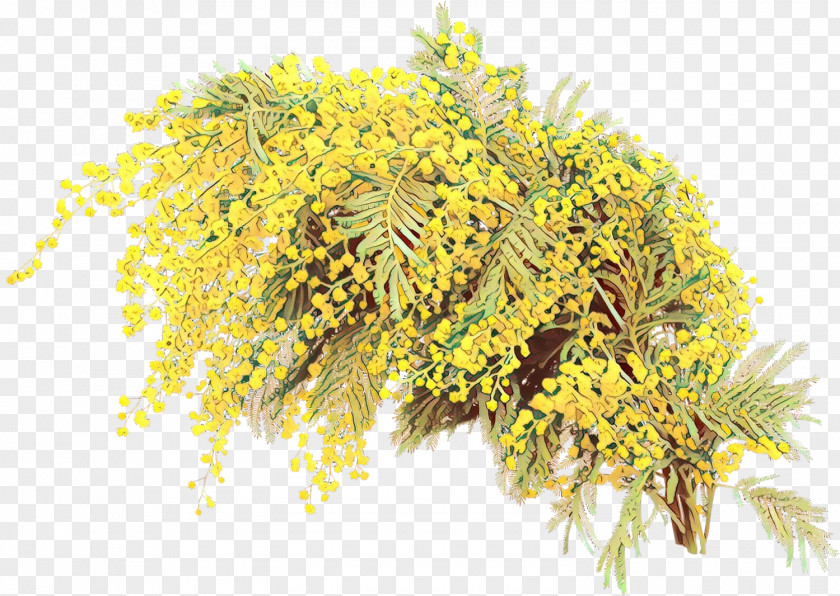 Mimosa Goldenrod PNG
